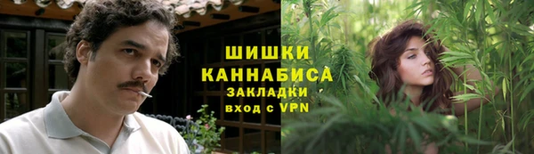 шишки Алексеевка