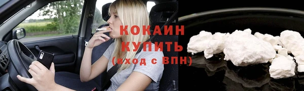 тгк Алзамай